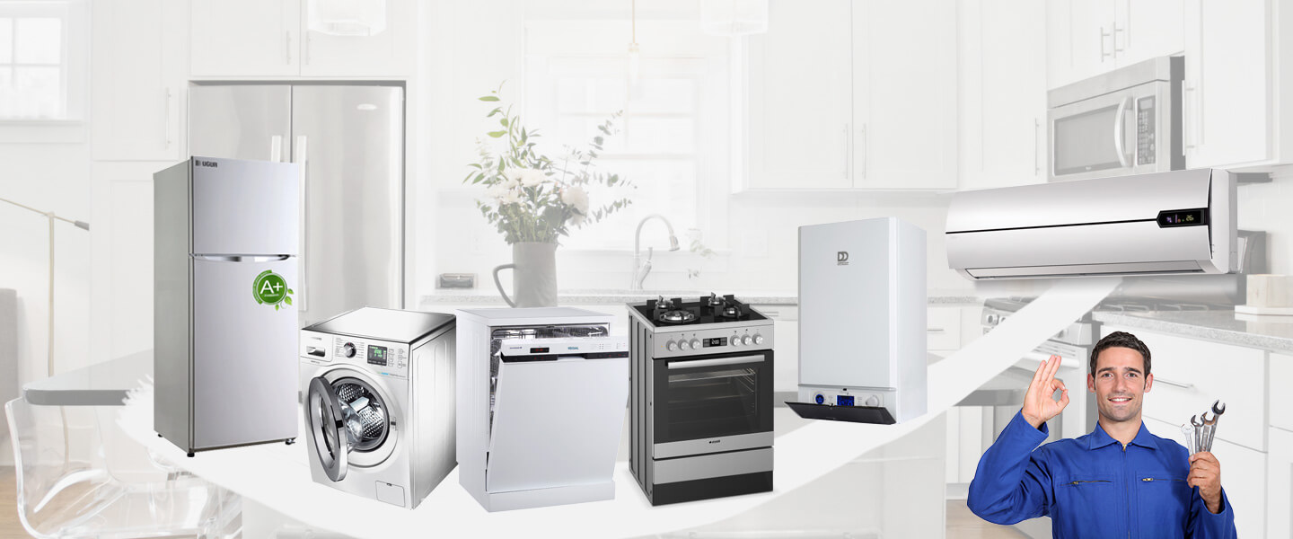 Emiralem Smeg Servisi